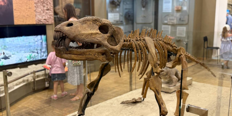 Музей Естественной Истории Татарстана