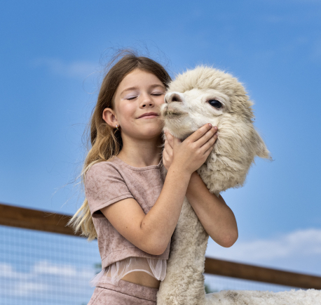 Экскурсия в парк альпак «ПАЧА МАМА»